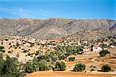 Marocco meridionale - Lungo la strada da Tiznit a Tafraoute.